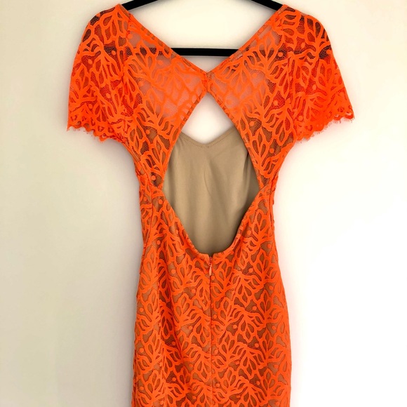 Backless lace mini gorgeous bebe summer dress - Picture 4 of 8